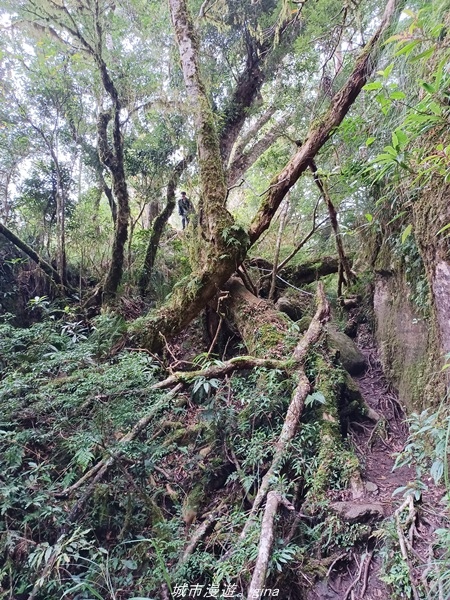 【台東東河】走一趟卑南族阿美族的聖山。 小百岳集起來。 No