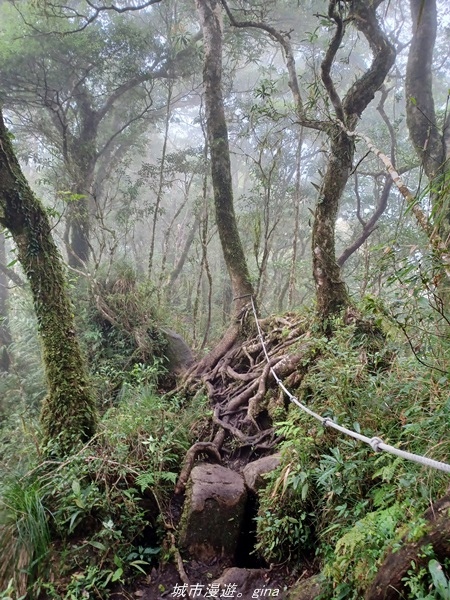 【台東東河】走一趟卑南族阿美族的聖山。 小百岳集起來。 No