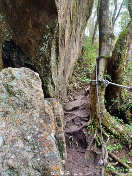 【台東東河】走一趟卑南族阿美族的聖山。 小百岳集起來。 No