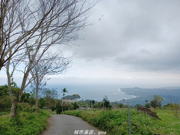 【台東東河】走一趟卑南族阿美族的聖山。 小百岳集起來。 No