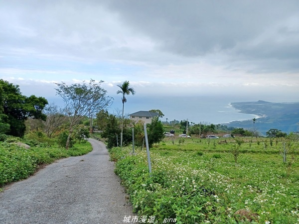 【台東東河】走一趟卑南族阿美族的聖山。 小百岳集起來。 No