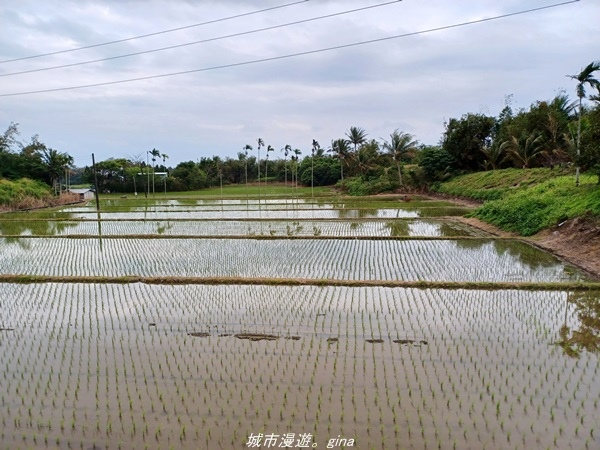 【台東成功】秘境沙灘。  都歷海灘x丸春號生魚片x王記鬼頭刀