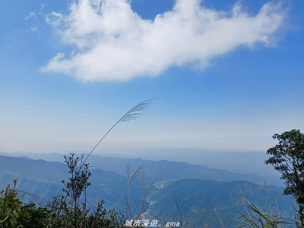 【新竹五峰】  悠遊山林。 No31小百岳~鵝公髻山x山上人