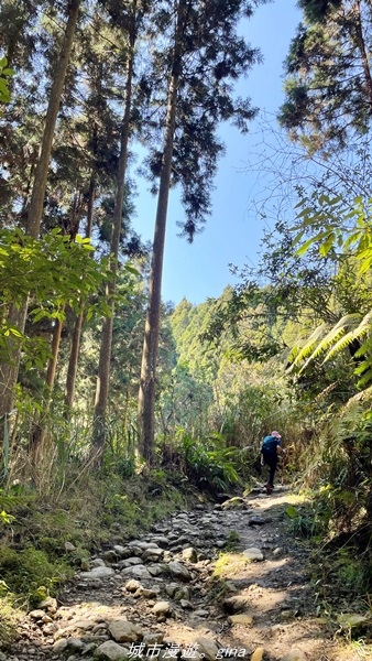 【新竹五峰】  悠遊山林。 No31小百岳~鵝公髻山x山上人