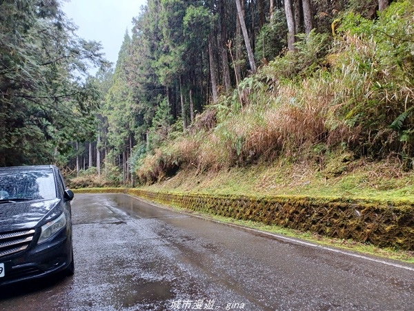 20220326_110513.jpg 20220326_110513.jpg