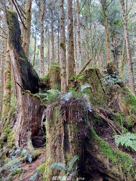 20220326_111649.jpg 20220326_111649.jpg