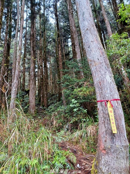 20220326_110632.jpg 20220326_110632.jpg