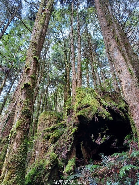 20220326_112437.jpg 20220326_112437.jpg