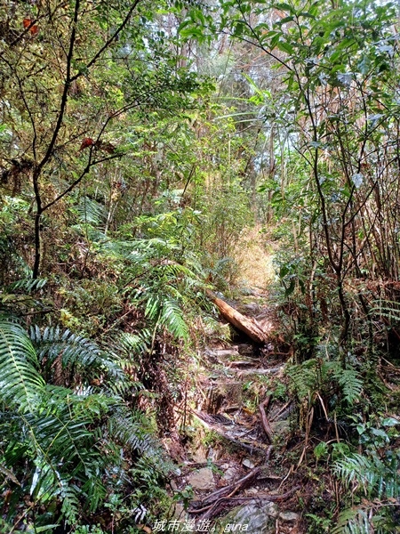 20220326_113010.jpg 20220326_113010.jpg