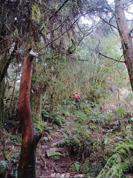 20220326_113529.jpg 20220326_113529.jpg