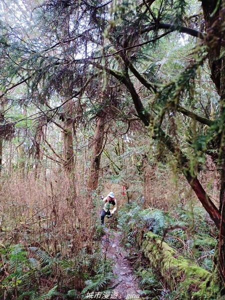 20220326_113532.jpg 20220326_113532.jpg