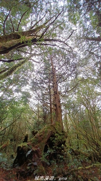 20220326_114014.jpg 20220326_114014.jpg