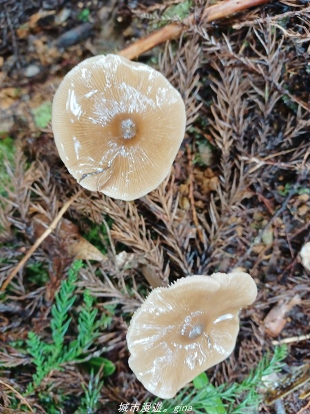 20220326_114429.jpg 20220326_114429.jpg