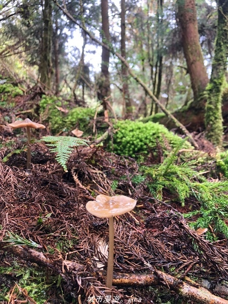 20220326_114430.jpg 20220326_114430.jpg