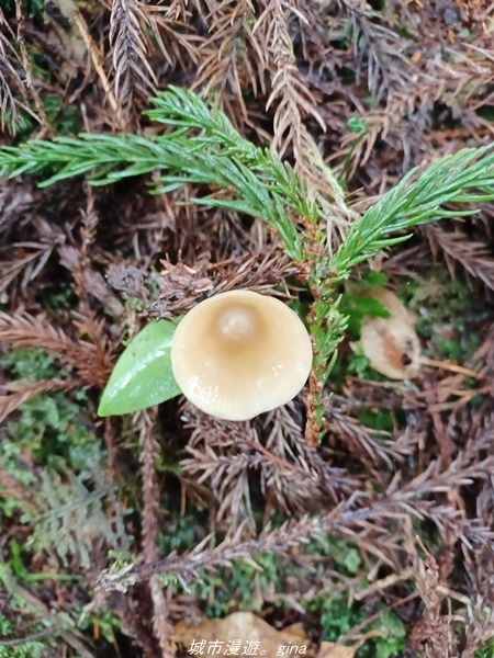 20220326_114442.jpg 20220326_114442.jpg