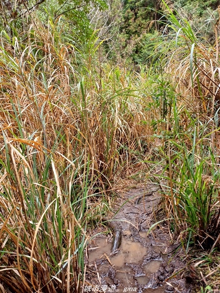 20220326_114739.jpg 20220326_114739.jpg