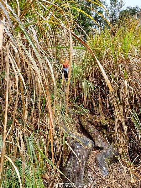 20220326_114630.jpg 20220326_114630.jpg