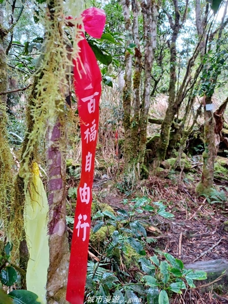 20220326_115652.jpg 20220326_115652.jpg