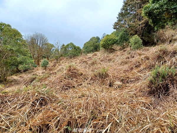 20220326_115423.jpg 20220326_115423.jpg