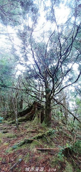 20220326_120711.jpg 20220326_120711.jpg