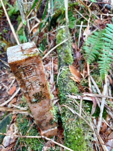 20220326_115730.jpg 20220326_115730.jpg