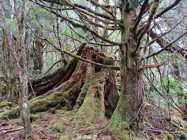 20220326_120705.jpg 20220326_120705.jpg