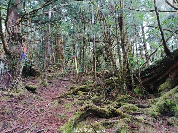 20220326_121023.jpg 20220326_121023.jpg