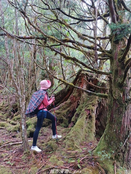 20220326_120846.jpg 20220326_120846.jpg