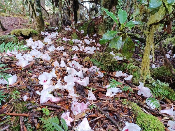 20220326_121410.jpg 20220326_121410.jpg