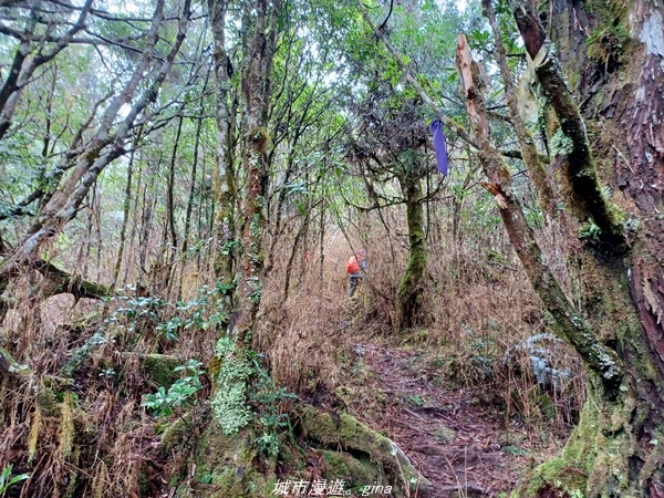 20220326_121638.jpg 20220326_121638.jpg