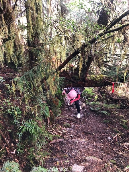 20220326_122026.jpg 20220326_122026.jpg