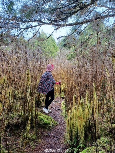 20220326_122739.jpg 20220326_122739.jpg