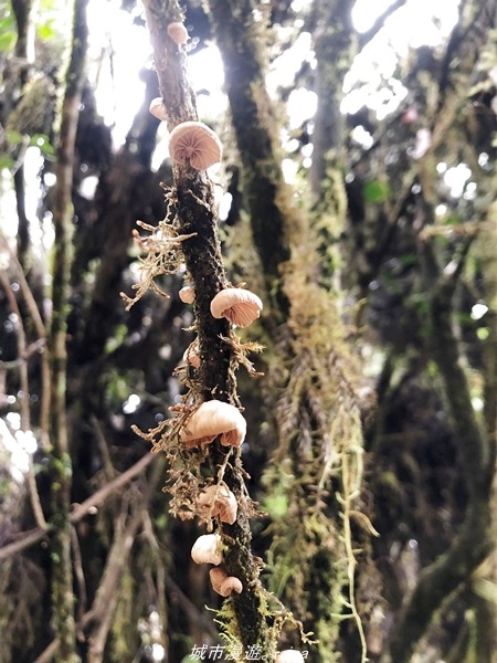 20220326_122027.jpg 20220326_122027.jpg