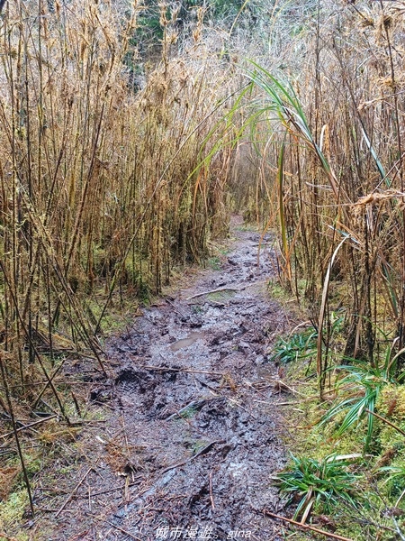 20220326_122838.jpg 20220326_122838.jpg