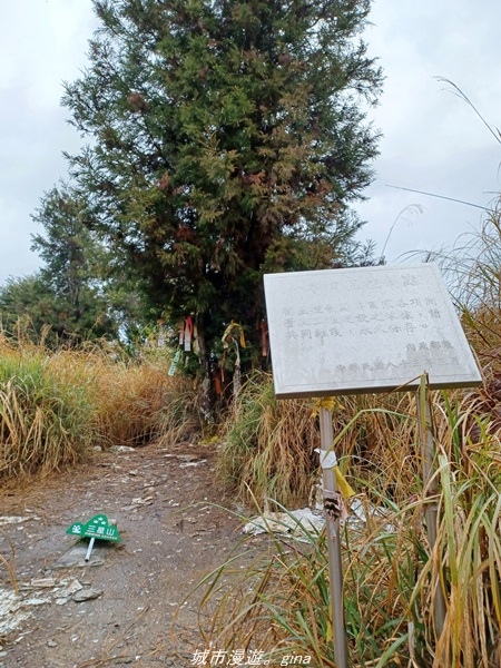 20220326_131949.jpg 20220326_131949.jpg