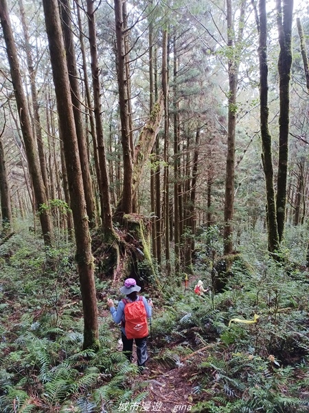 20220326_135943.jpg 20220326_135943.jpg