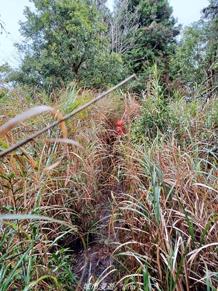 20220326_134715.jpg 20220326_134715.jpg