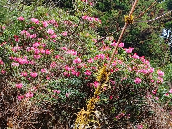 20220326_132450.jpg 20220326_132450.jpg