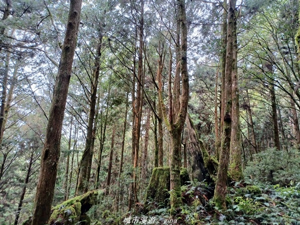 20220326_140312.jpg 20220326_140312.jpg