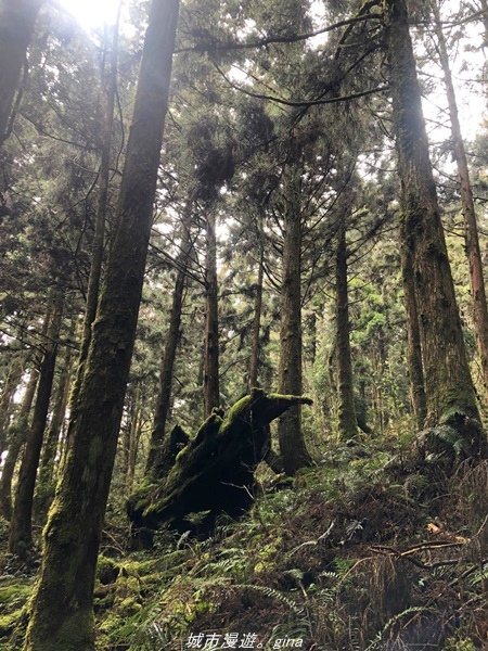 20220326_141206.jpg 20220326_141206.jpg