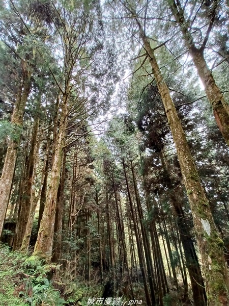 20220326_141205.jpg 20220326_141205.jpg