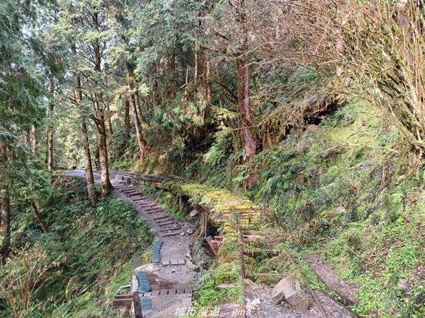 【宜蘭大同】 最美小徑。 台灣百大必訪步道。 見晴懷古步