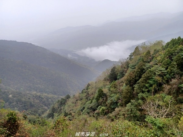 【宜蘭大同】  最美小徑。  台灣百大必訪步道。 見晴懷古步