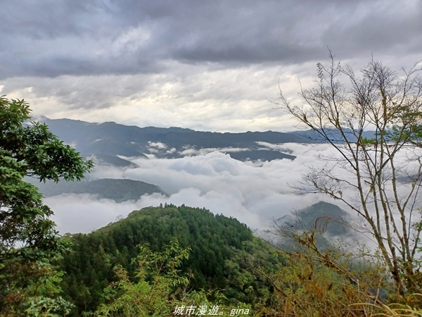 【宜蘭大同】 泡一池暖湯。 鳩之澤溫泉x拍到不想走的雲海