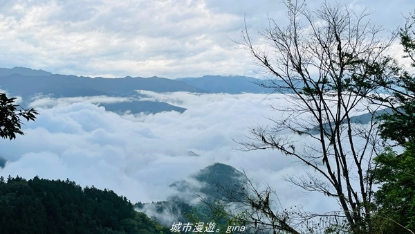 【宜蘭大同】 泡一池暖湯。 鳩之澤溫泉x拍到不想走的雲海