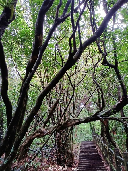 20220327_124137.jpg 20220327_124137.jpg