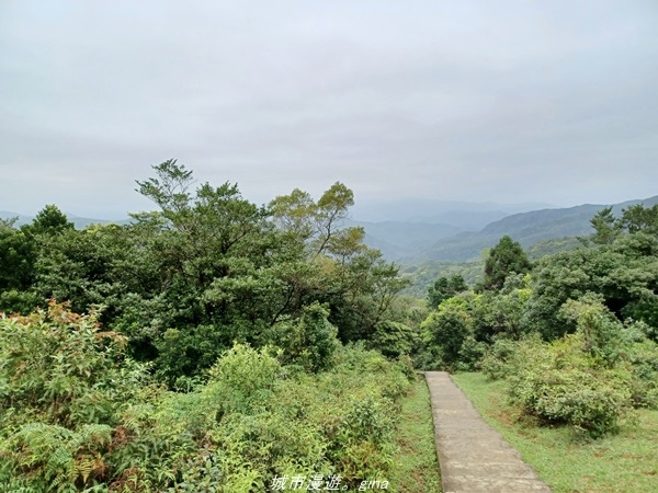 20220327_125213.jpg 20220327_125213.jpg