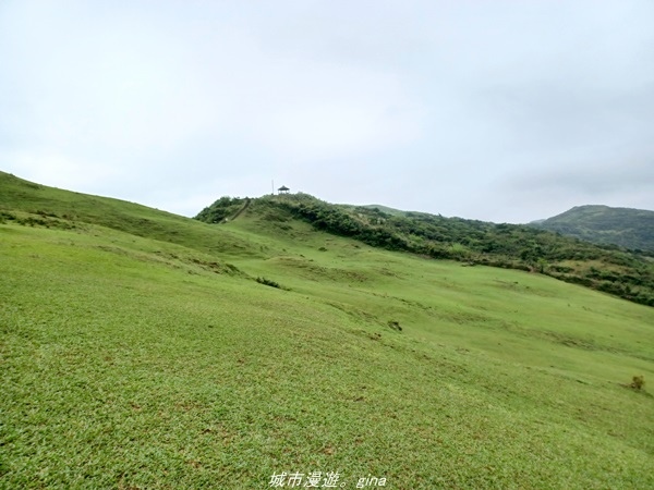 20220327_131650.jpg 20220327_131650.jpg