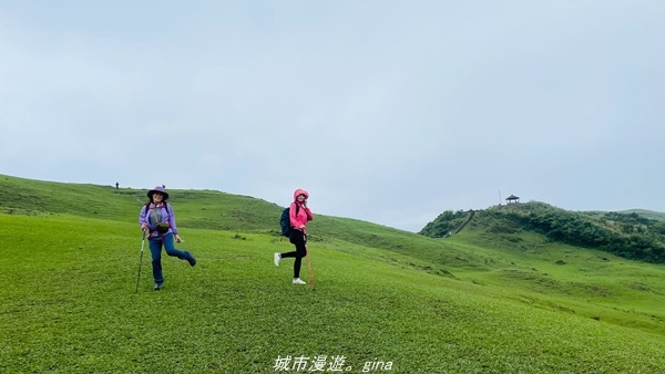 20220327_132419.jpg 20220327_132419.jpg