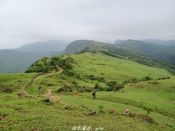 20220327_132724.jpg 20220327_132724.jpg